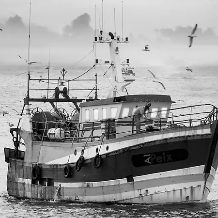 Les Pecheurs Баньюль-сюр-Мер