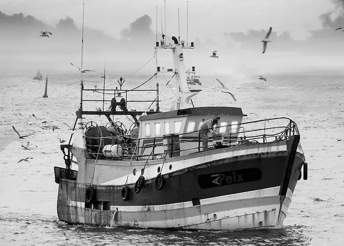 Les Pecheurs Banyuls-sur-Mer
